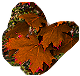 HOT-leaves