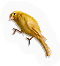 Flying