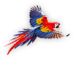 Flying
