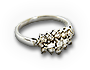 BSL-ring_03
