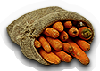 Carrots