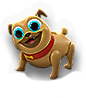 BSL-dog