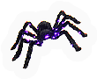 Arachnid