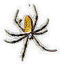 Arachnid