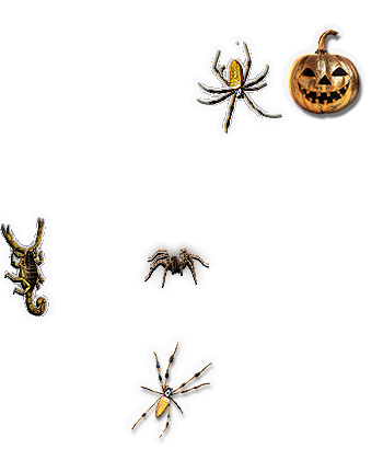 Composite image 4