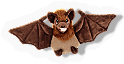 Cuddly Brown Bat