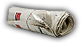 INS-newspaper