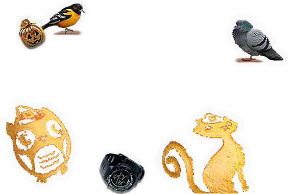 Composite image 6
