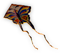 Kite