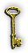 INS-goldKey