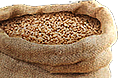 Grain