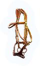 INS-bridle