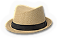 BSL-hat08