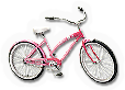 BSL-bike04