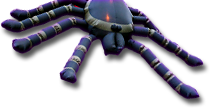 Spider