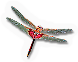 Red Saddlebag Dragonfly