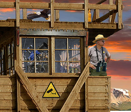 Composite image 5