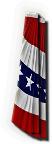 INS-bunting