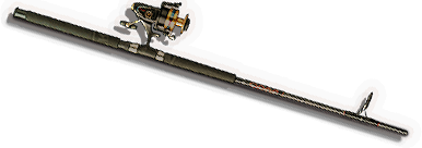 Fishing Rod
