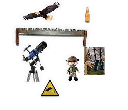Composite image 6