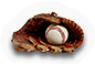 Baseball Mitt