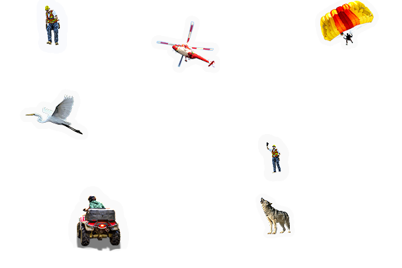 Composite image 6