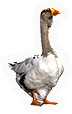 Goose
