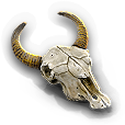Animal Skull