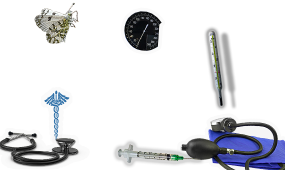 Composite image 6
