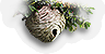 Wasp Nest