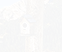 HOT-birdbox