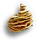 Fungi