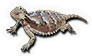 Horned Lizard