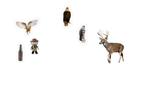 Composite image 4
