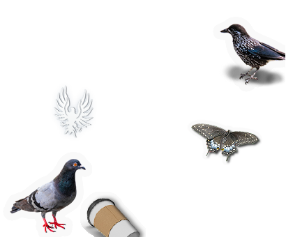 Composite image 6