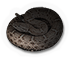 Ridge-nosed Rattlesnake