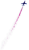 Flying Thing