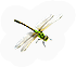 Flying Thing