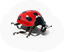 Flying Thing