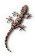 Moorish Wall Gecko