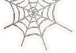Spider's Web