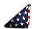 INS-flag1