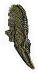 Fossil