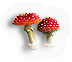 Fungi