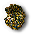 Bee Hive