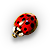 Beetle