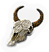 Animal Skull