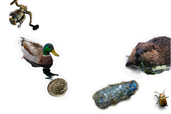Composite image 4