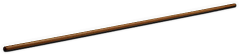 INS-pole