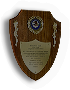 Plaque